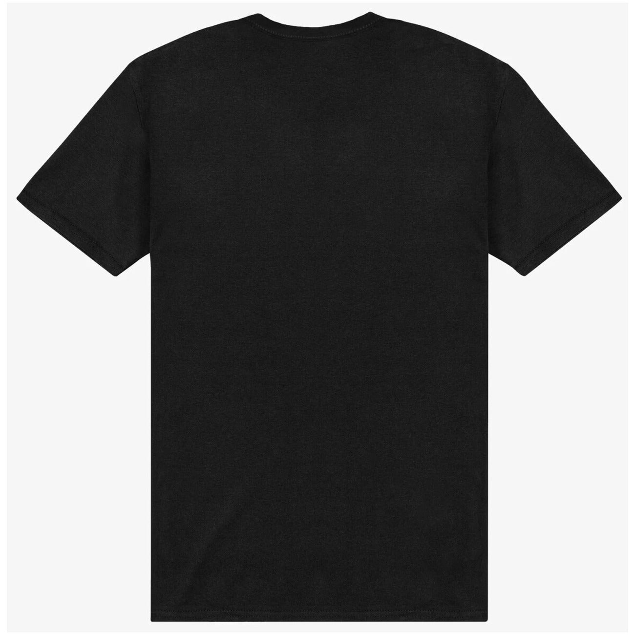 The North Face T-shirt Heren